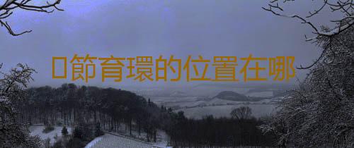 節育環的位置在哪