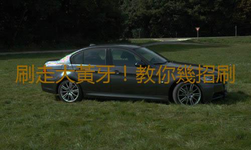 刷走大黃牙!教你幾招刷牙技巧