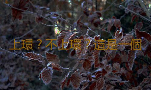 上環?不上環?這是一個問題