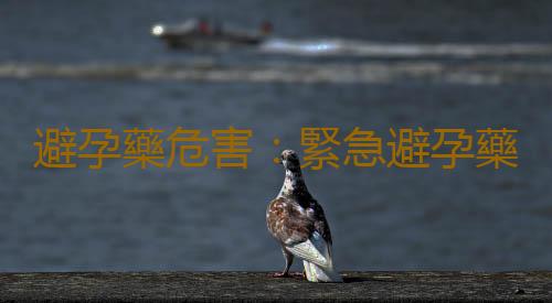 避孕藥危害:緊急避孕藥會對女性有什麽影響